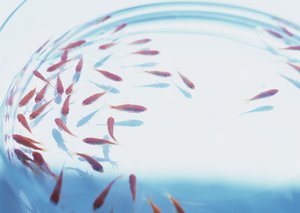 技术全方位解析